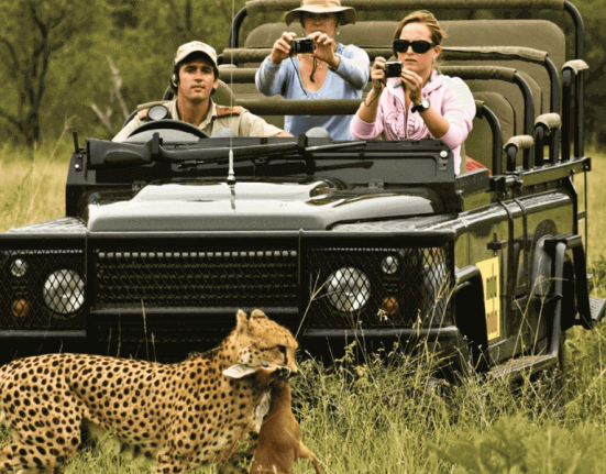 Kruger-National Park-Safari