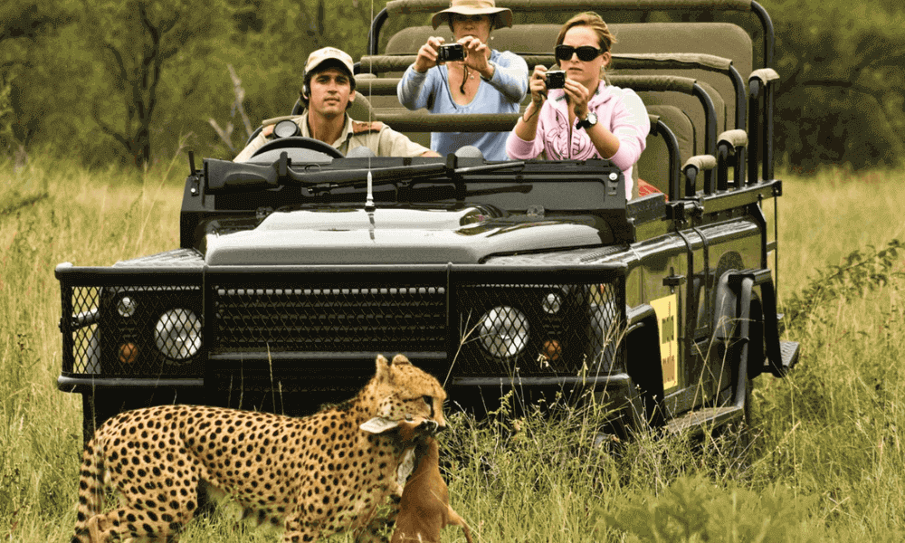 Kruger-National Park-Safari