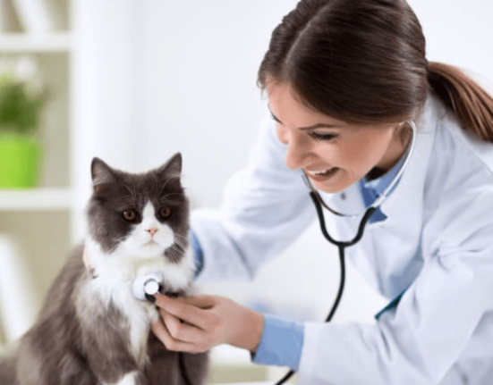 animals- disease-prevention