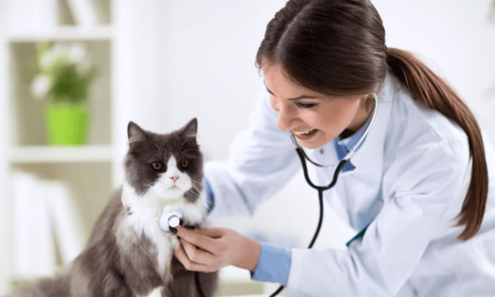 animals- disease-prevention