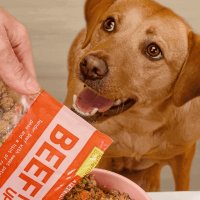 dog-food