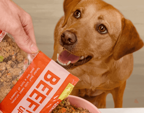 dog-food